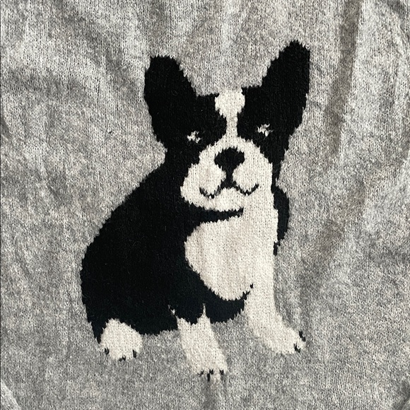 CUPCAKES & CASHMERE Boston Terrier Sweater Whimsical Dog Pet Cottagecore Cozy - Picture 3 of 9